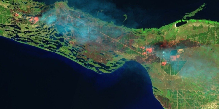 Леса на Кинбурне горят, а оккупанты по-прежнему не дают их тушить: на Николаевщине и Херсонщине огонь охватил 5,5 тыс.га (ФОТО)