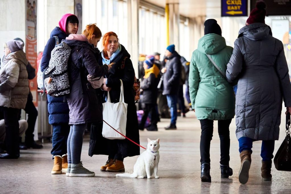 Не кинули друзів: потягами Укрзалізниці вже було евакуйовано більше 100 тисяч тварин, і це не тільки коти і собаки (ФОТО) 5
