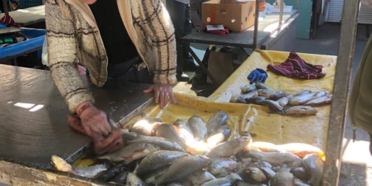 На ринках Миколаєва вилучено з продажу 12 кг риби без відповідних документів (ФОТО)