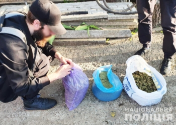 У Миколаєві поліцейські вилучили у місцевого мешканця 64 кг коноплі (ФОТО, ВІДЕО)