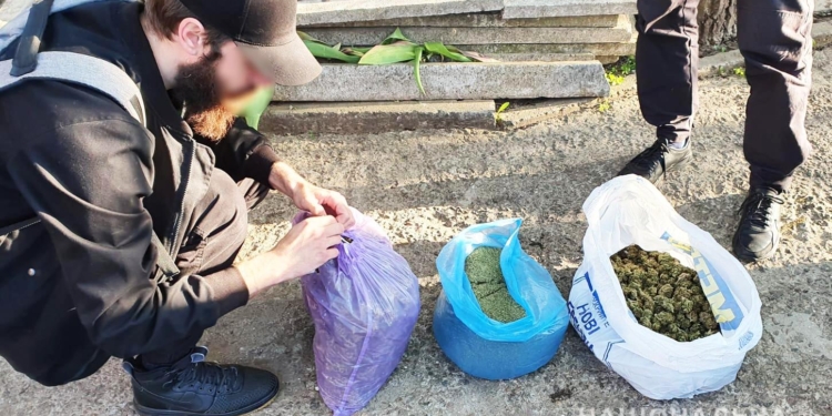 У Миколаєві поліцейські вилучили у місцевого мешканця 64 кг коноплі (ФОТО, ВІДЕО)