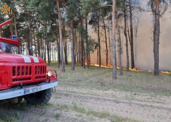 Через обстріли окупантів знову горів ліс біля Миколаєва (ФОТО)