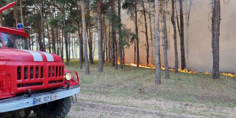 Через обстріли окупантів знову горів ліс біля Миколаєва (ФОТО)