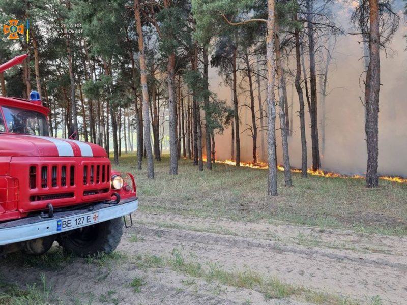 Через обстріли окупантів знову горів ліс біля Миколаєва (ФОТО)