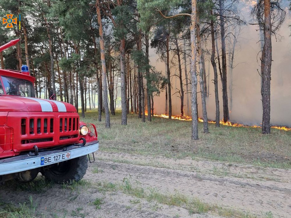 Через обстріли окупантів знову горів ліс біля Миколаєва (ФОТО) 5