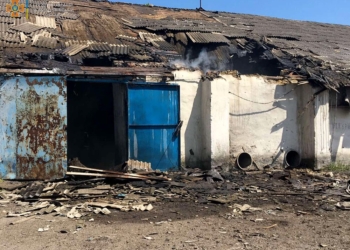 За минулу добу на Миколаївщині внаслідок обстрілів загинуло двоє чоловіків і постраждала жінка. Зведення від рятувальників (ФОТО)
