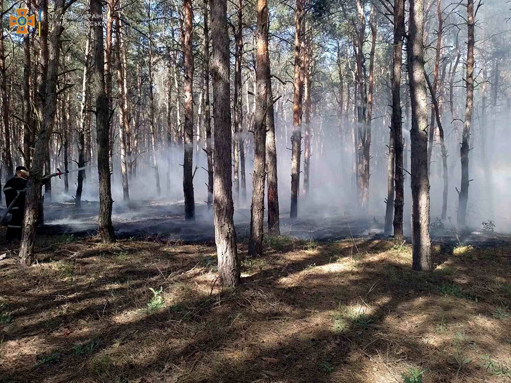 Поблизу Миколаєва через ворожі обстріли знов горіли ліси (ФОТО) 8