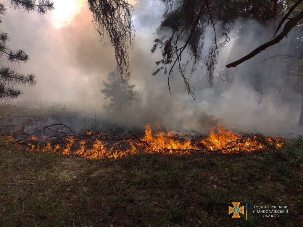 На Миколаївщині за добу через обстріли вигоріло 7,95 га хвойного настилу, 4,9 га відкритих територій та складське приміщення (ФОТО, ВІДЕО) 7