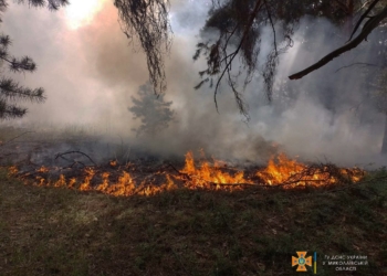 На Миколаївщині за добу через обстріли вигоріло 7,95 га хвойного настилу, 4,9 га відкритих територій та складське приміщення (ФОТО, ВІДЕО)