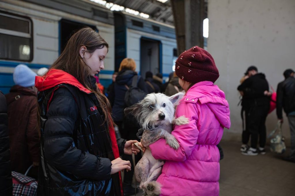 Не кинули друзів: потягами Укрзалізниці вже було евакуйовано більше 100 тисяч тварин, і це не тільки коти і собаки (ФОТО) 9