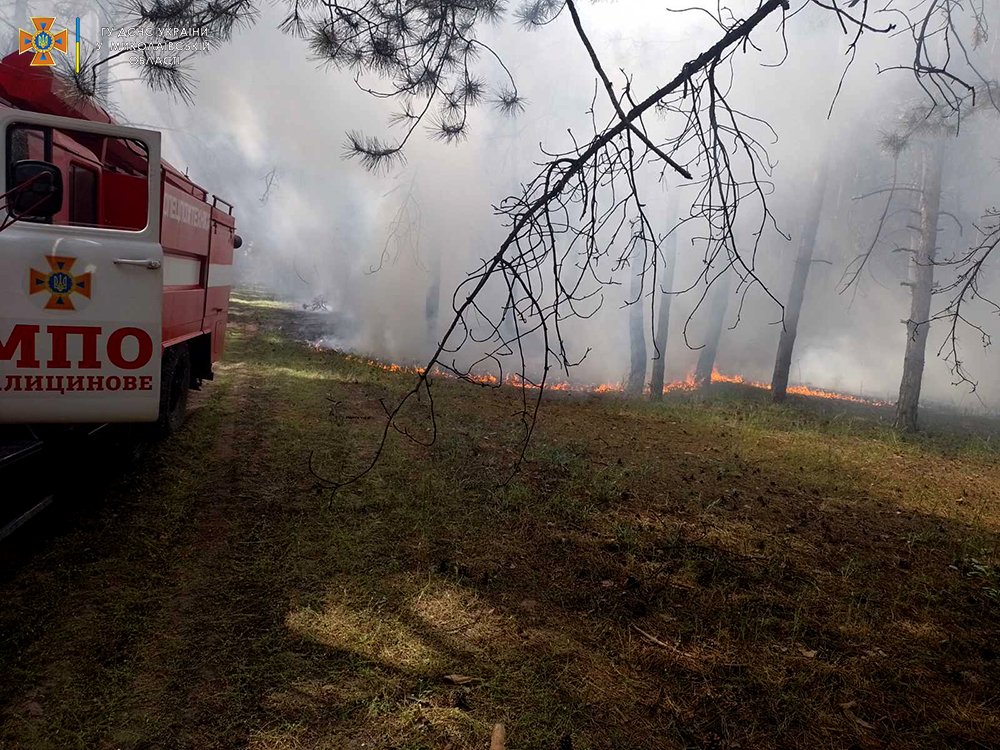 Поблизу Миколаєва через ворожі обстріли знов горіли ліси (ФОТО) 10