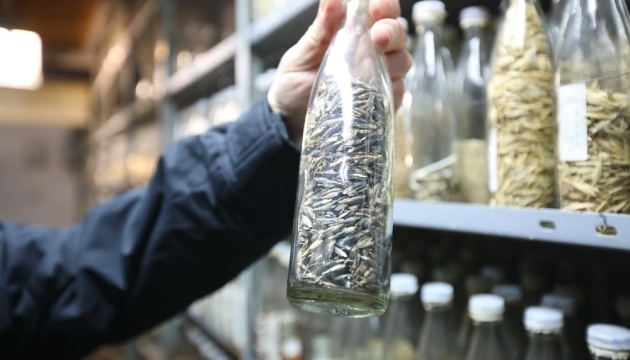 Вояки рф  полностью уничтожили в Харькове  генетический банк растений – десятки тысяч сортов навсегда потеряны (ВИДЕО)