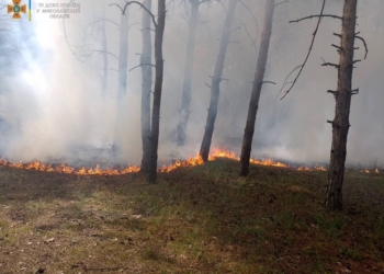 Поблизу Миколаєва через ворожі обстріли знов горіли ліси (ФОТО)