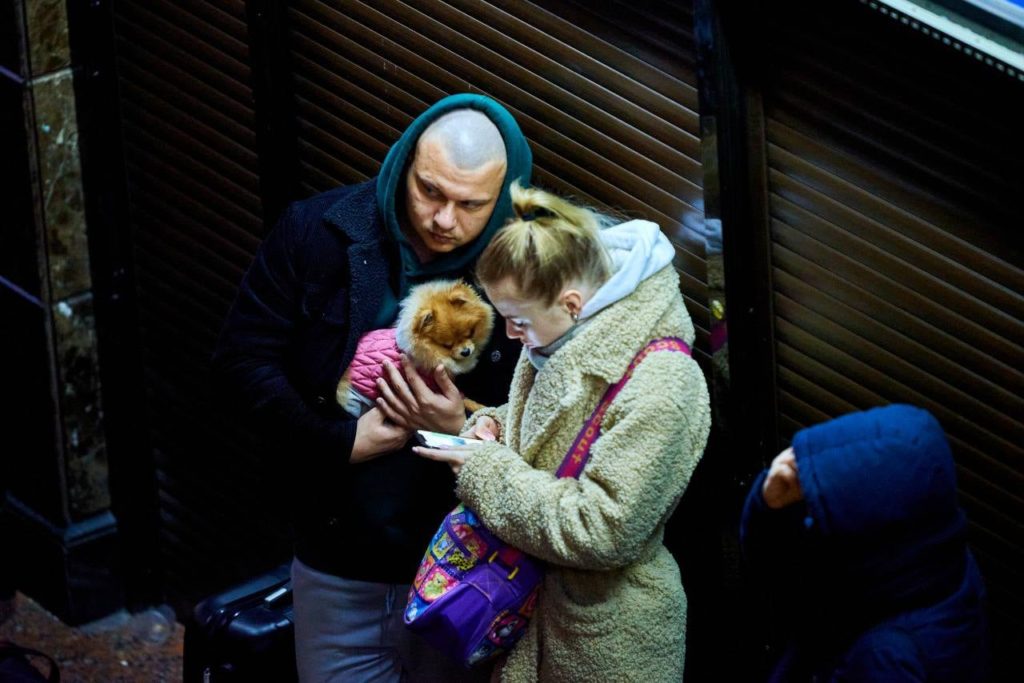 Не кинули друзів: потягами Укрзалізниці вже було евакуйовано більше 100 тисяч тварин, і це не тільки коти і собаки (ФОТО) 13
