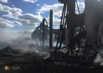 З’ясувалась причина масштабної пожежі, яку бачили у Миколаєві: горіли гаражі у селищі Луч і склад одного з підприємств (ФОТО)