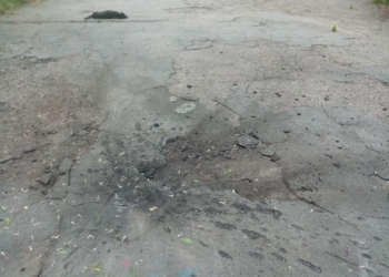 Наслідки вечірнього обстрілу Миколаєва: пошкоджено цивільні будинки, поранено та вбито домашніх тварин (ФОТО, ВІДЕО)