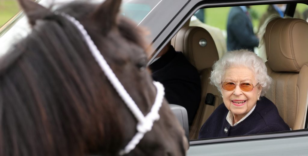 Ну, лошадки, так лошадки. Елизавета II неожиданно появилась на публике и все время улыбалась (ФОТО) 19
