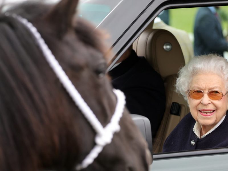 Ну, лошадки, так лошадки. Елизавета II неожиданно появилась на публике и все время улыбалась (ФОТО)