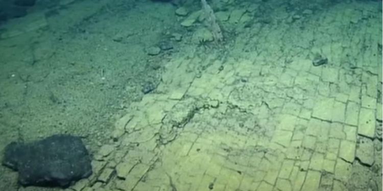 Ученые обнаружили на дне Тихого океана “дорогу из желтого кирпича” (ВИДЕО)