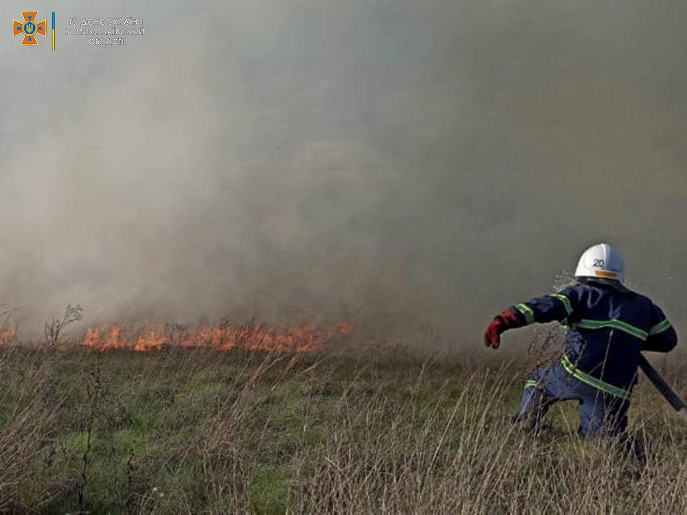 На Миколаївщині за добу було 8 пожеж, 3 з яких – через обстріли (ФОТО) 17