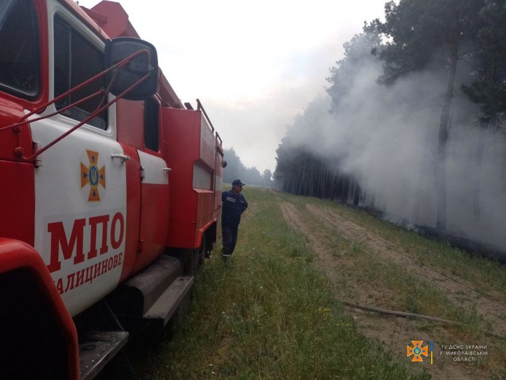 На Миколаївщині за добу через обстріли вигоріло 7,95 га хвойного настилу, 4,9 га відкритих територій та складське приміщення (ФОТО, ВІДЕО) 17