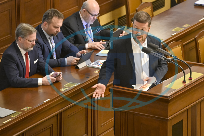 Ультраправые в парламенте Чехии выступили против украинских беженцев