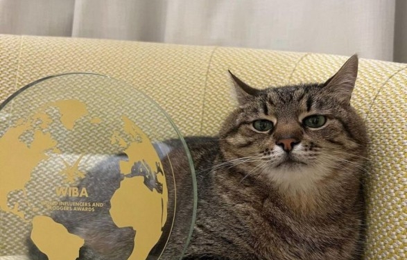 Харьковский кот Степан в Каннах получил награду для блоггеров