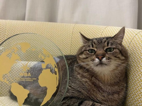 Харьковский кот Степан в Каннах получил награду для блоггеров