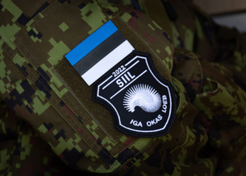 В Эстонии начались большие учения