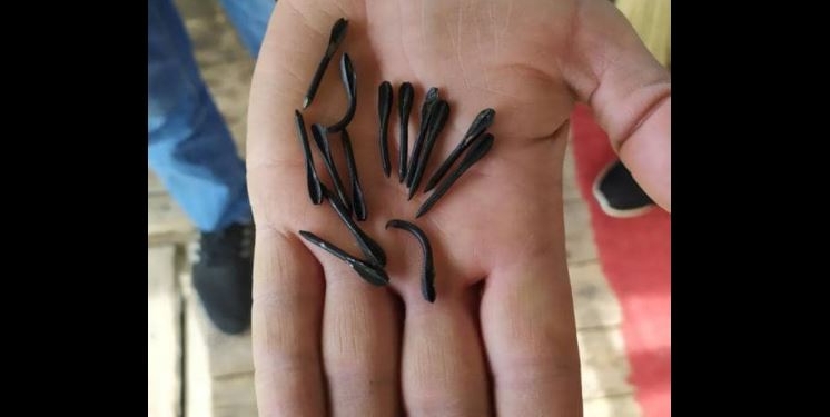 Приграничную Сумщину обстреляли снарядами с флешетами. Что о них нужно знать (ФОТО, ВИДЕО)