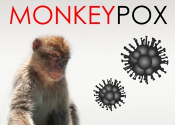 Грозит ли Украине вспышка обезьяньей оспы – объяснил главный санитарный врач