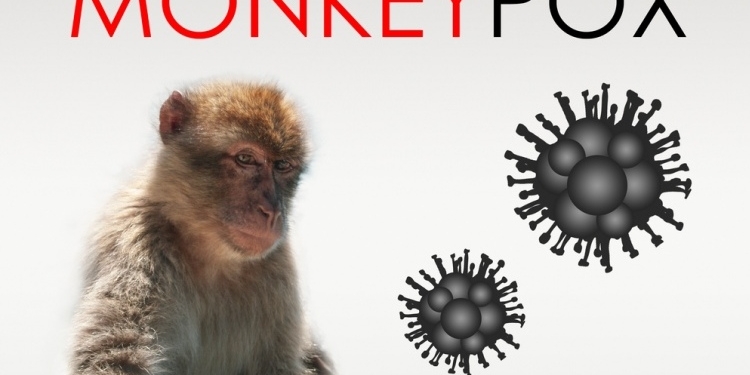 Грозит ли Украине вспышка обезьяньей оспы – объяснил главный санитарный врач