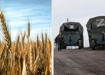 Z – zлодій. Викрадення зерна з України «кришується» російськими спецслужбами