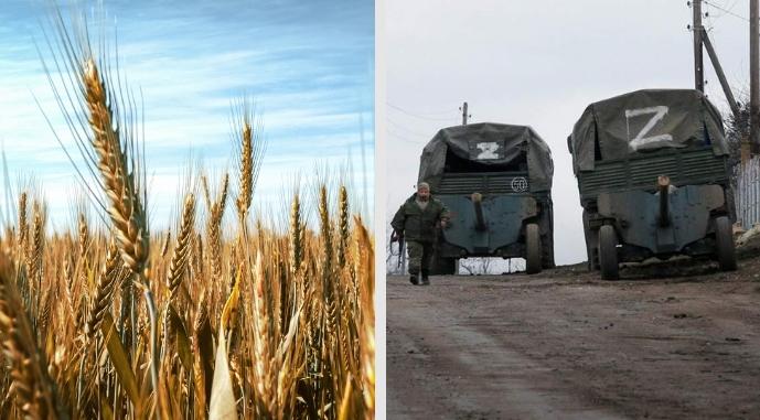 Росія могла викрасти українського зерна на пів мільярда доларів