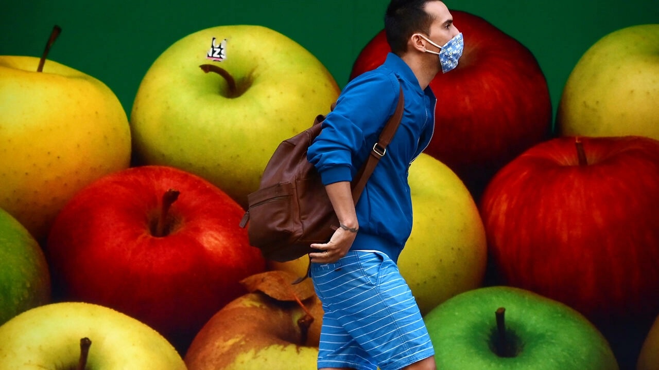 В Испании хотят принять закон, по которому рестораны и супермаркеты будут штрафовать за выброшенные продукты