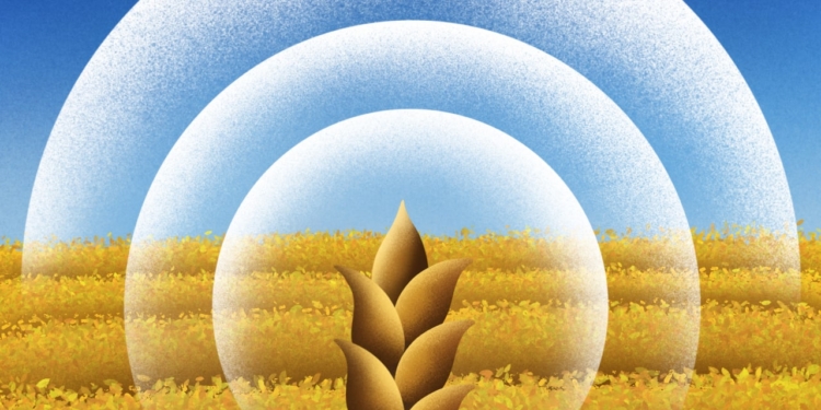 Компанія Starlink Ukraine тепер має ліцензію оператора