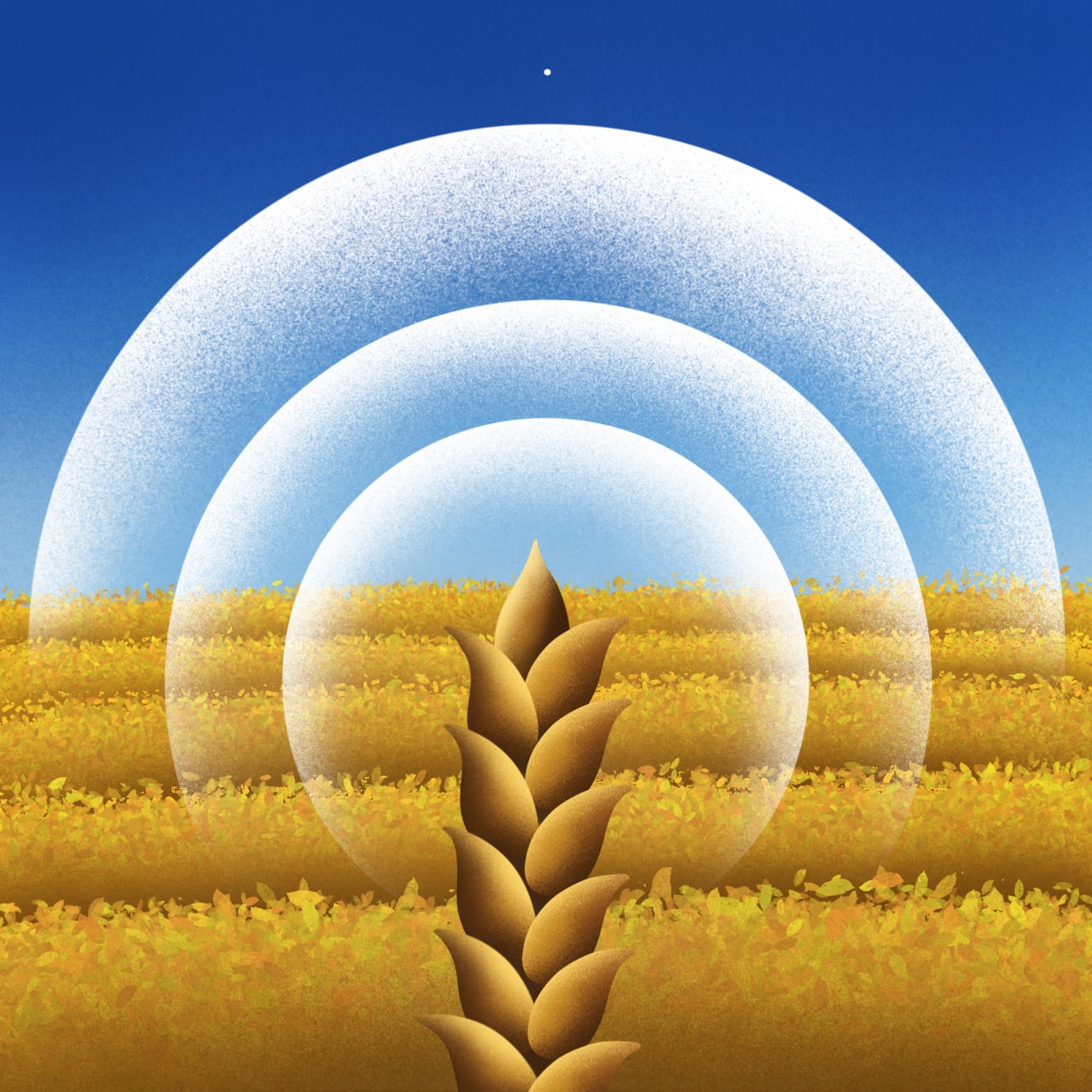 Компанія Starlink Ukraine тепер має ліцензію оператора