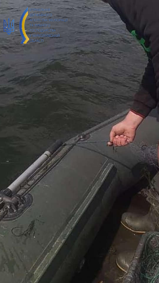 На Інгулі в межах Миколаєва рибоохоронний патруль вилучив 2 браконьєрські сітки (ФОТО, ВІДЕО) 1
