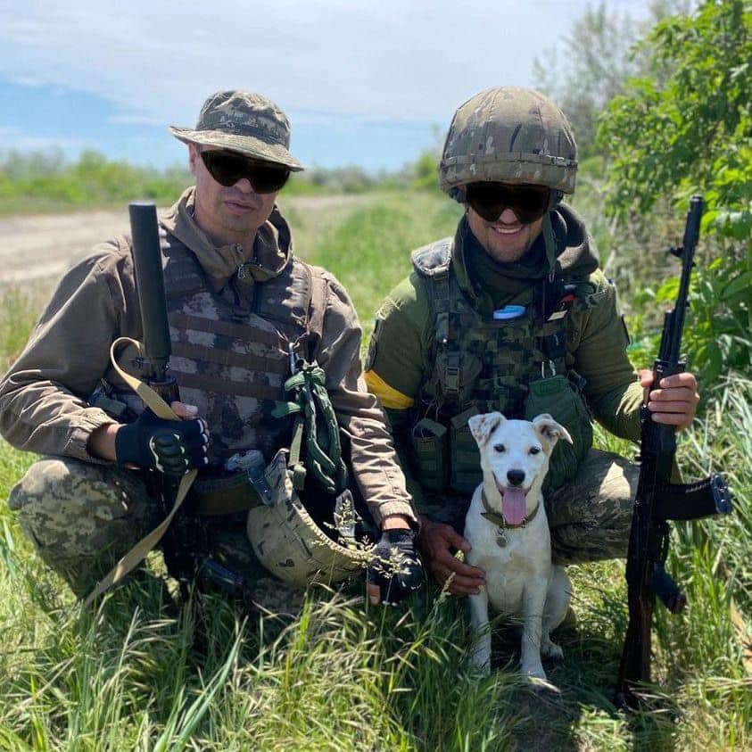 Разом проходять гарт війною: в Міноборони показали, хто з чотирилапих допомагає нашим захисникам боронити Україну (ФОТО) 1