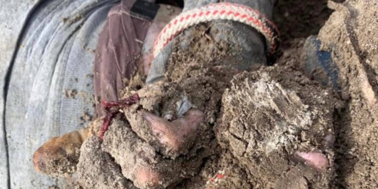 Окупанти в «Л/ДНР» створили понад 200 в’язниць для українських військових та цивільних – Генпрокурор