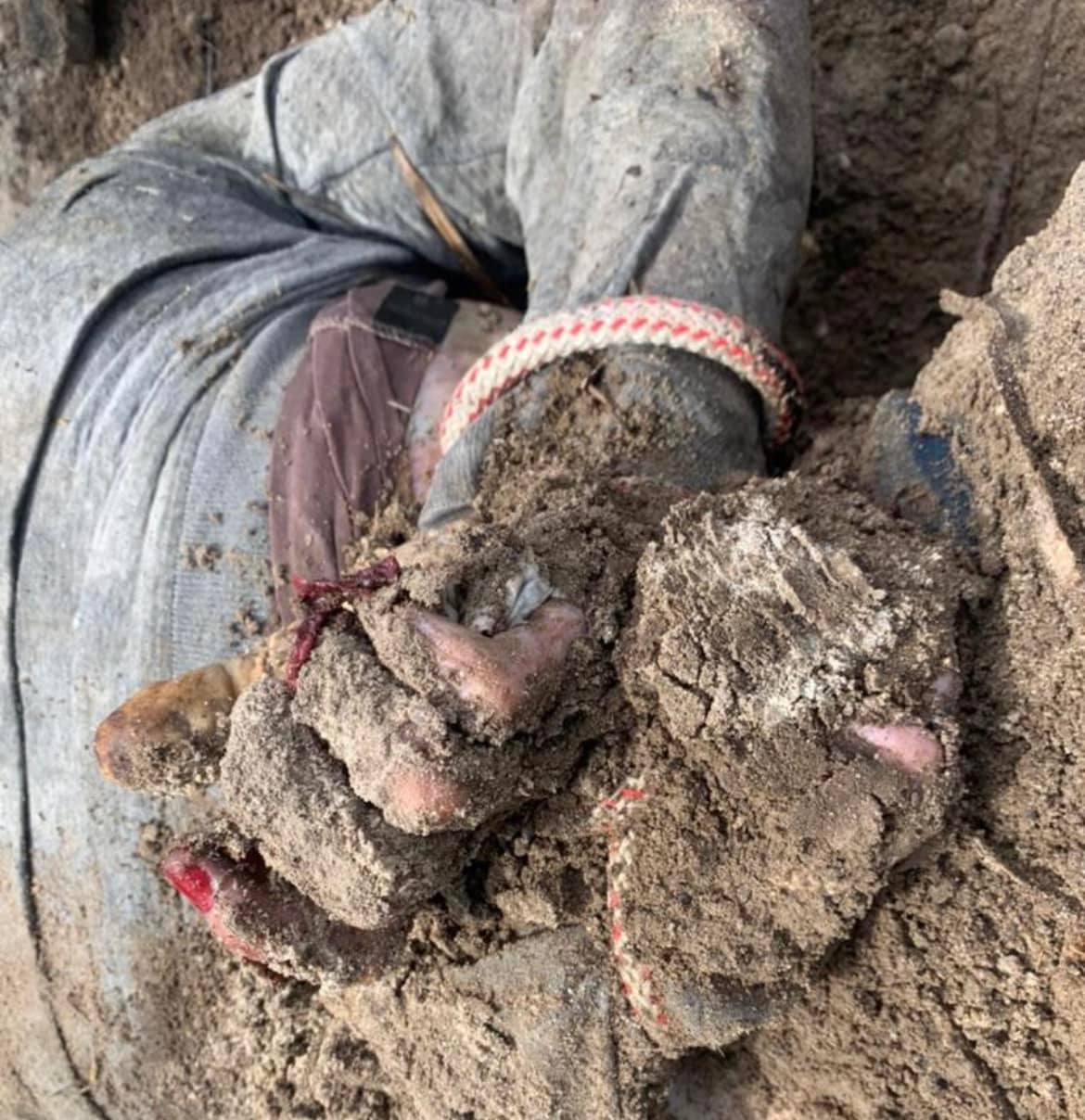 Окупанти в «Л/ДНР» створили понад 200 в’язниць для українських військових та цивільних – Генпрокурор