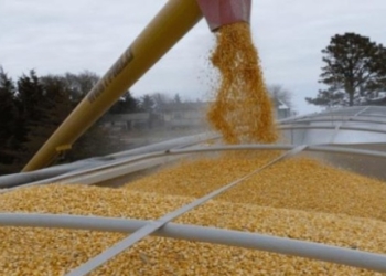 росія вкрала в України чверть запасів зерна