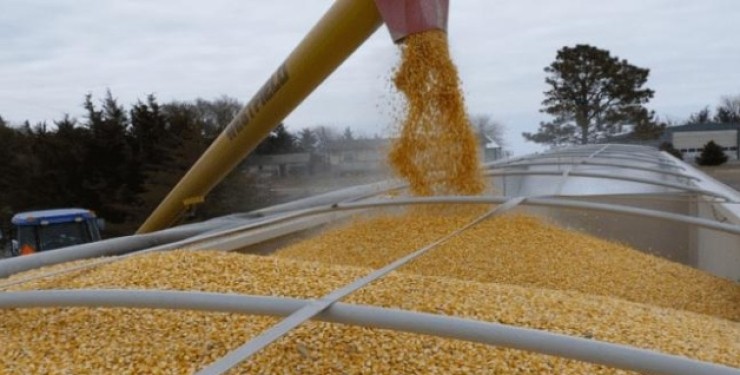росія вкрала в України чверть запасів зерна
