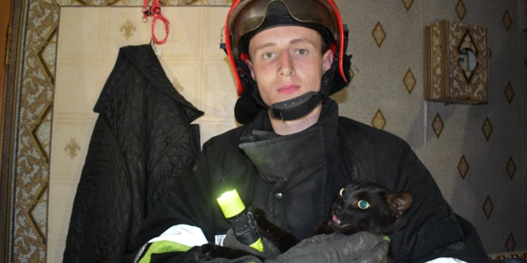 Спасают не только людей: в разрушенной российской ракетой пятиэтажке в Николаеве спасатели нашли домашнего кота и вернули его хозяйке (ФОТО, ВИДЕО)