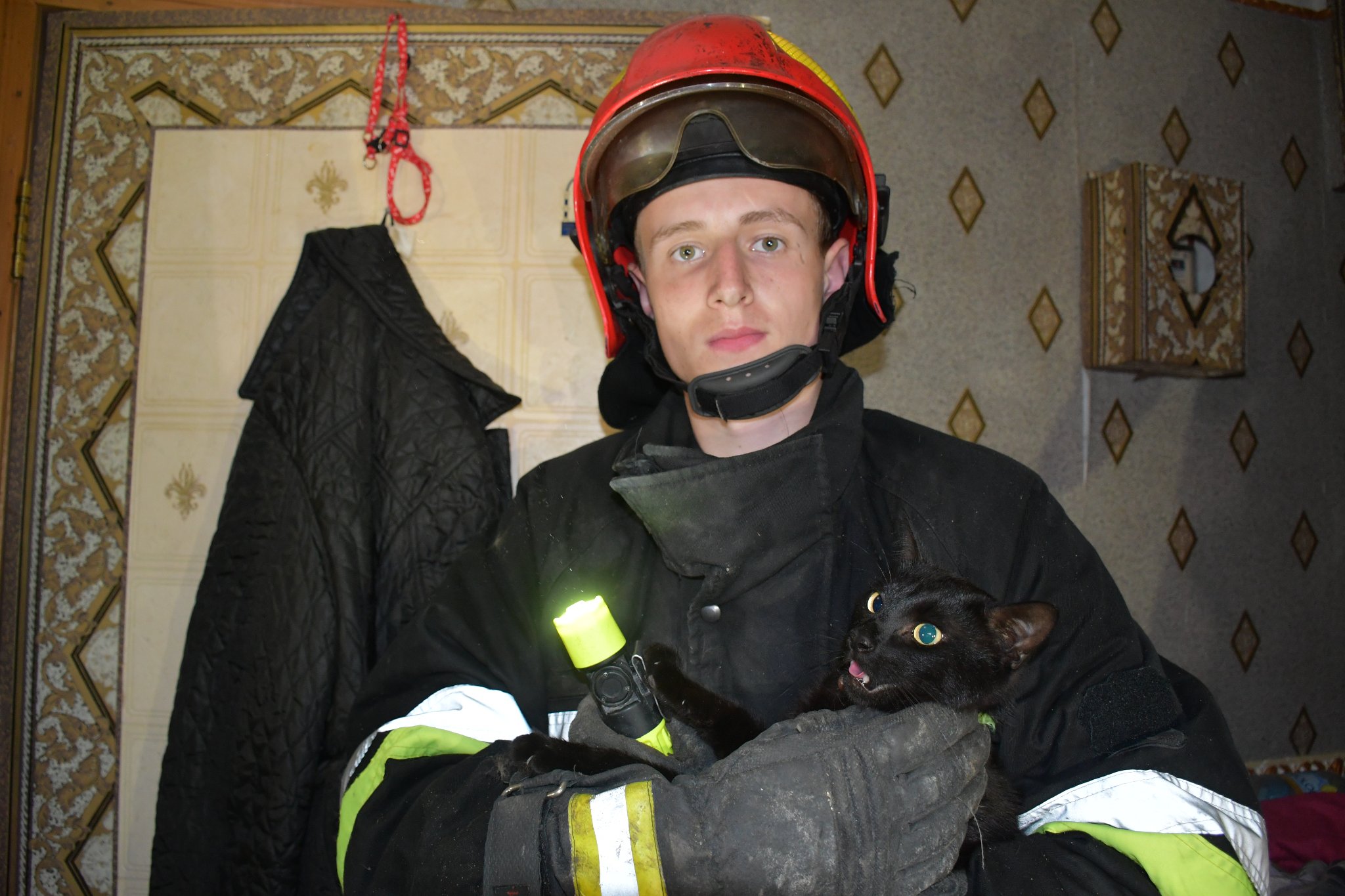 Спасают не только людей: в разрушенной российской ракетой пятиэтажке в Николаеве спасатели нашли домашнего кота и вернули его хозяйке (ФОТО, ВИДЕО)