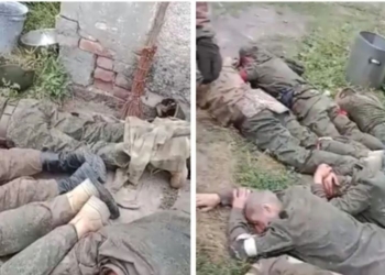 Медработник на фронте взял в плен 8 рашистов – они воровали обувь наших военных (ВИДЕО)