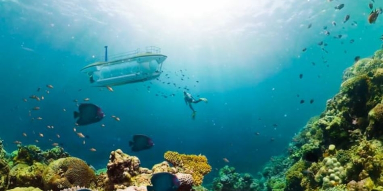 Во Вьетнаме запустили туристическую подводную лодку – у нее прозрачный корпус (ФОТО)