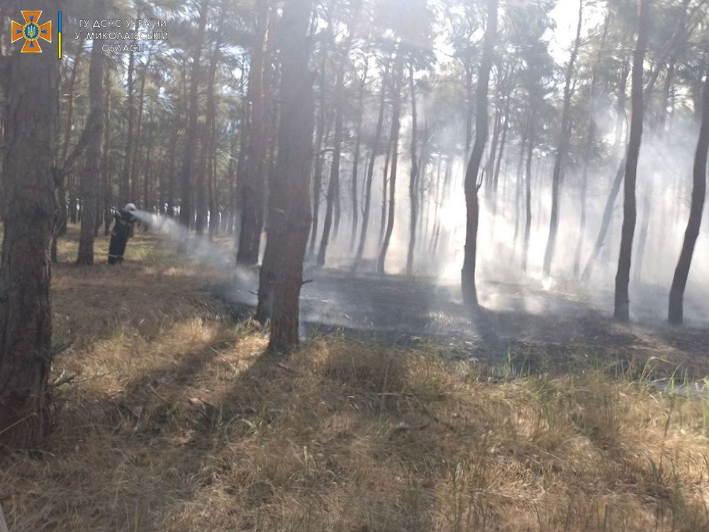 Внаслідок обстрілів та через необережне поводження з вогнем: за добу на Миколаївщині спалахнуло 5 пожеж (ФОТО) 29