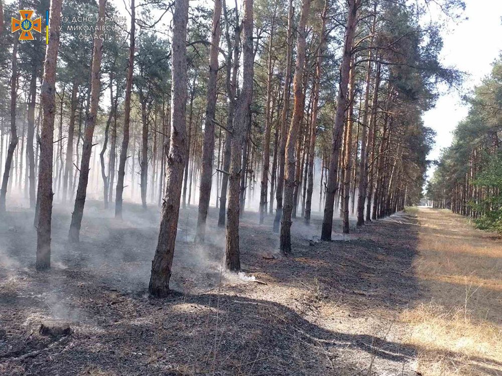 Внаслідок обстрілів та через необережне поводження з вогнем: за добу на Миколаївщині спалахнуло 5 пожеж (ФОТО) 31