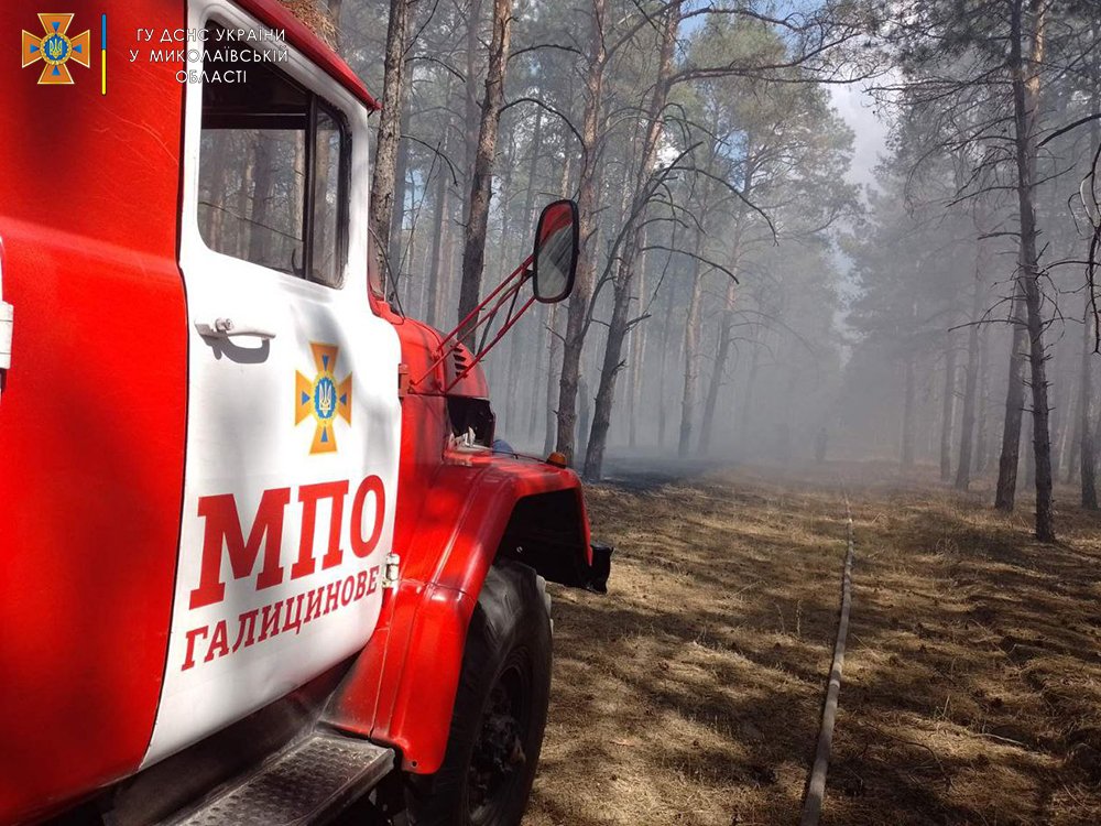 Внаслідок обстрілів та через необережне поводження з вогнем: за добу на Миколаївщині спалахнуло 5 пожеж (ФОТО) 35